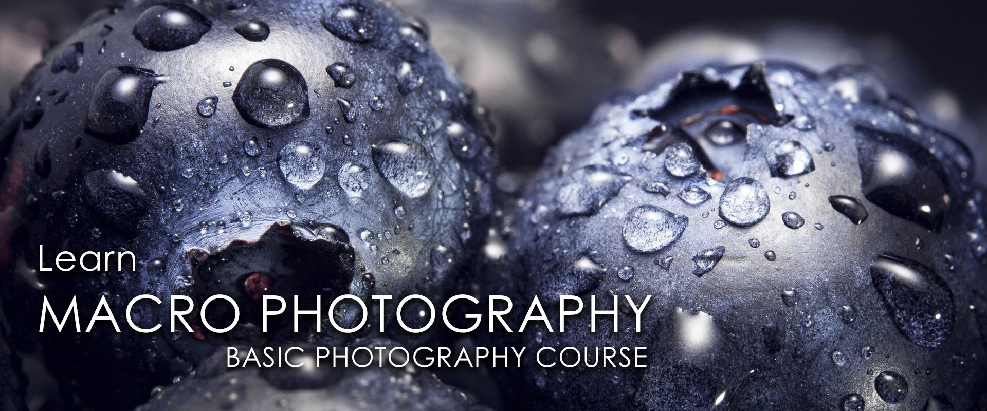 macro--photography-course-in-jordan-titles